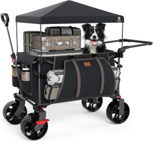 EVER ADVANCED Chariot de Plage XXL